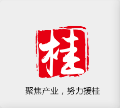 聚焦產(chǎn)業(yè)，努力援桂